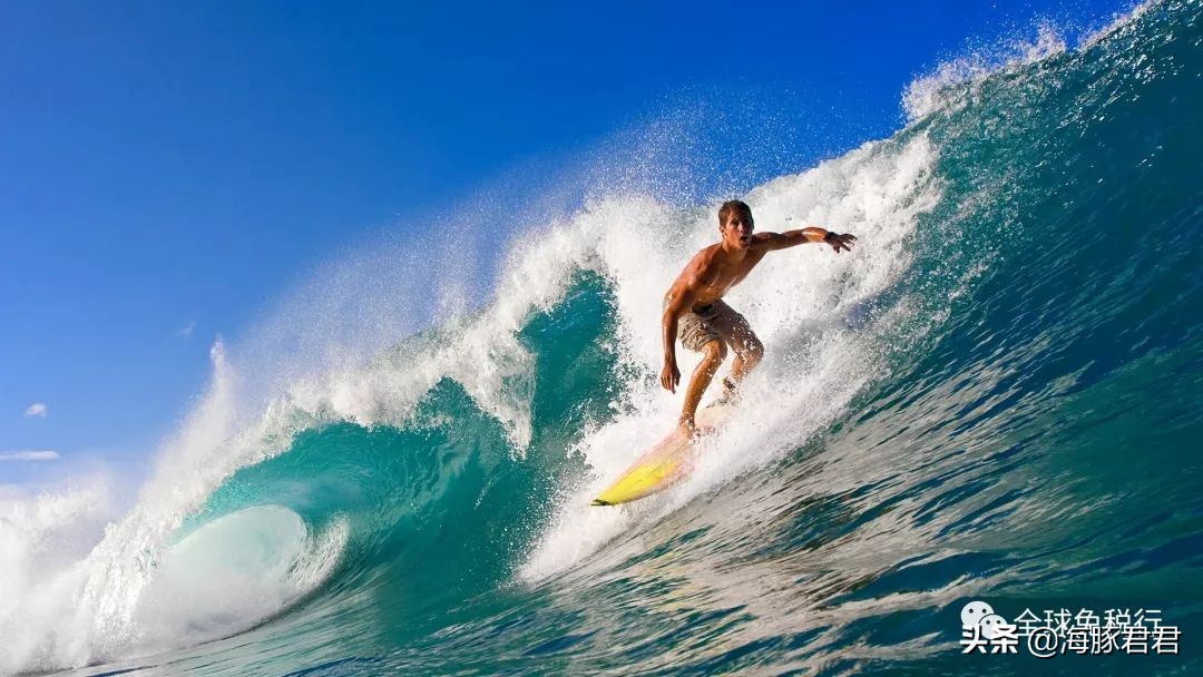 新西兰奥克兰机场购物,新西兰奥克兰一日游攻略