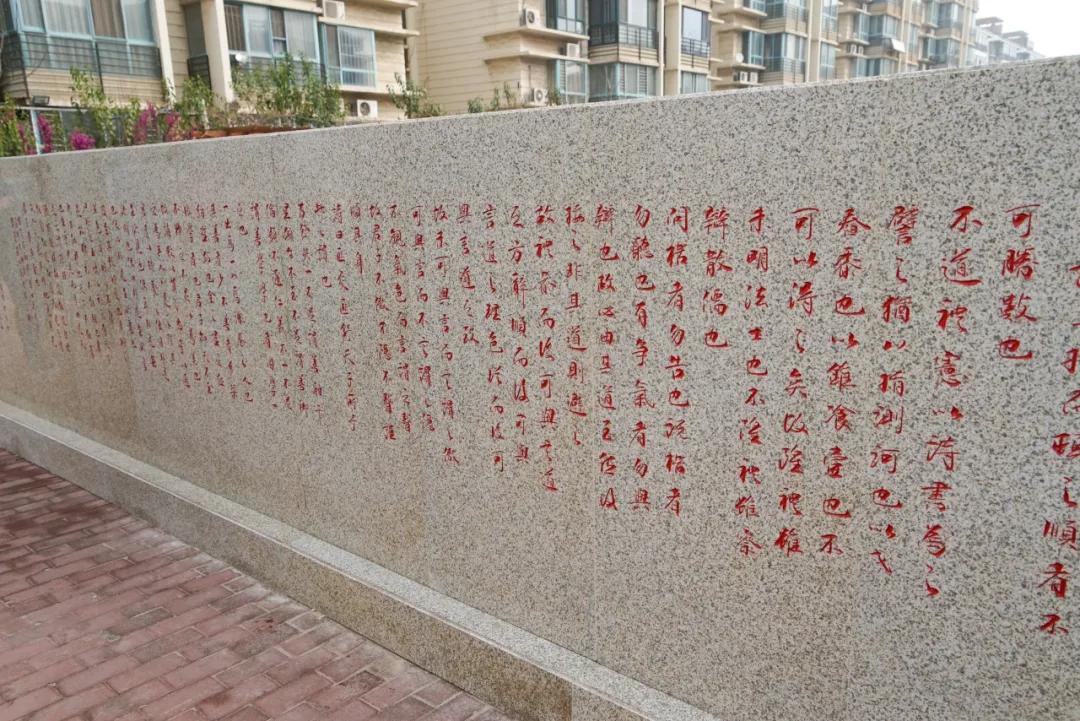 太极拳校园活动,邯郸太极进校园