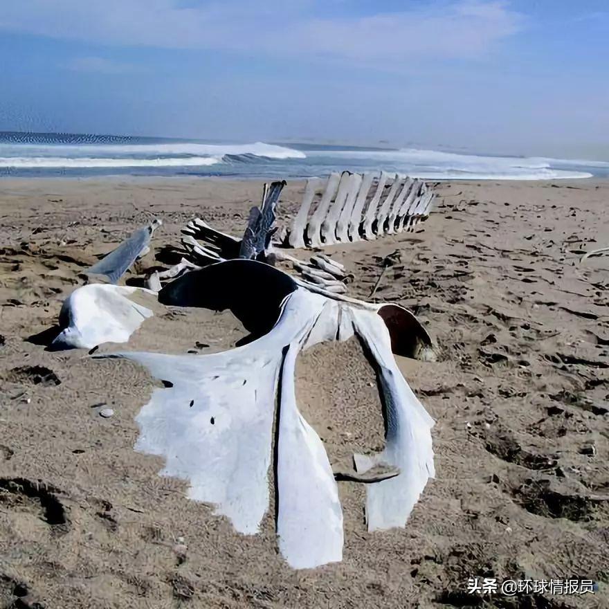 纳米比亚地理位置图,纳米比亚是个什么地方