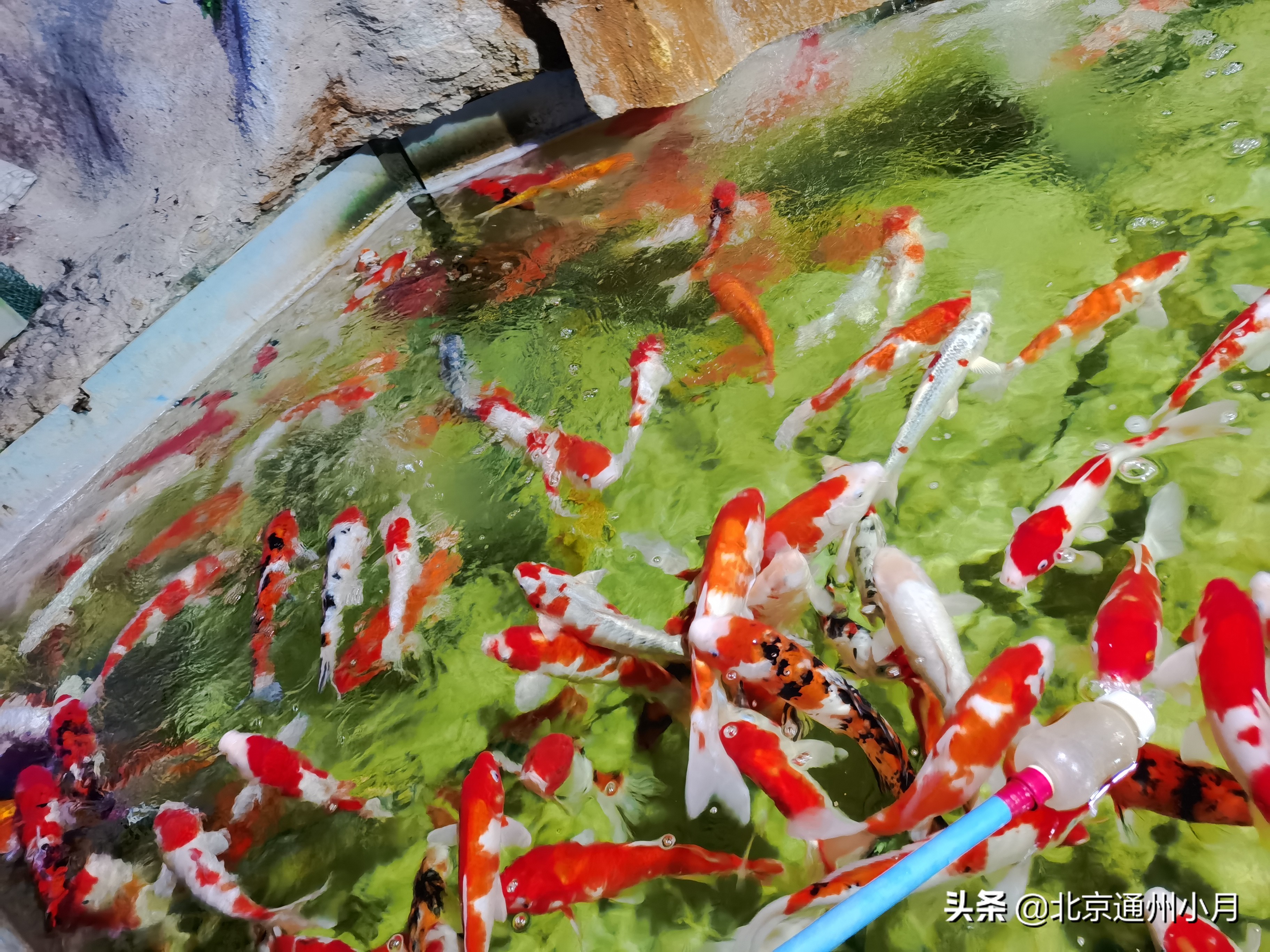 值得去看的海底世界,北京市海底世界门票多少钱