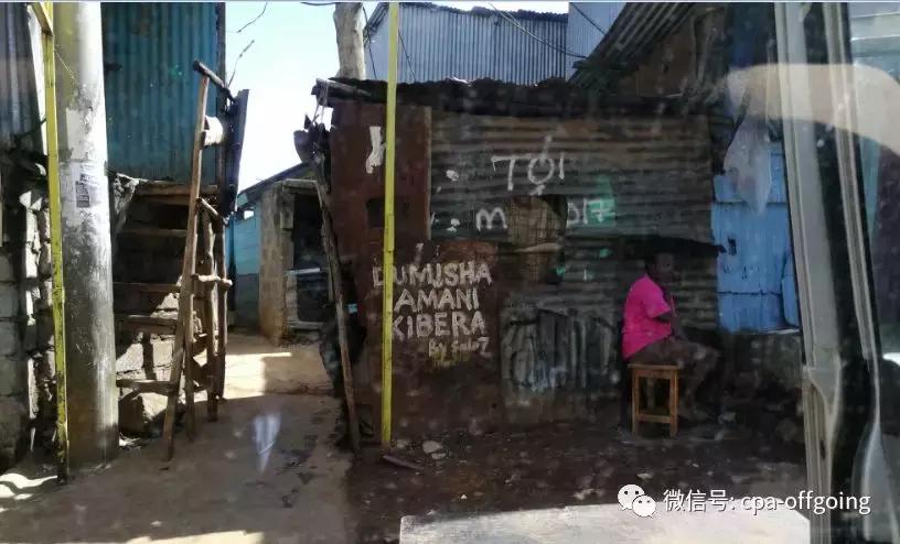 这个野奢的国度,欧美、日韩人都爱去,为何我们国家没人去?