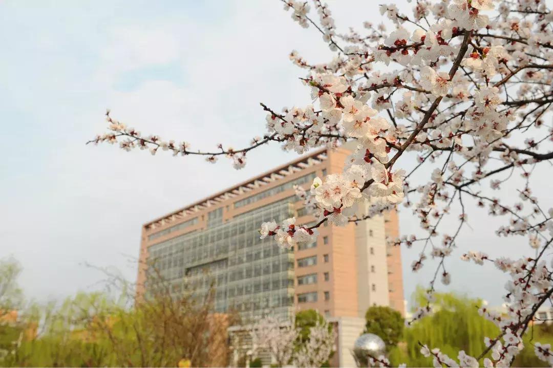 2019中国高考志愿填报大学,2021中国高考志愿填报