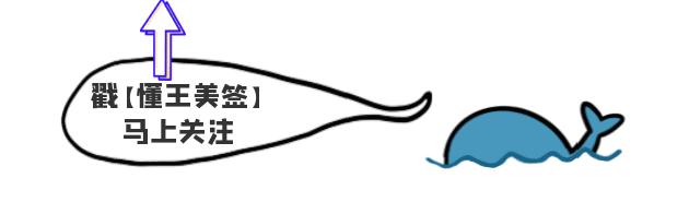 新加坡工作签证有哪几种类型,日本工作签证类型