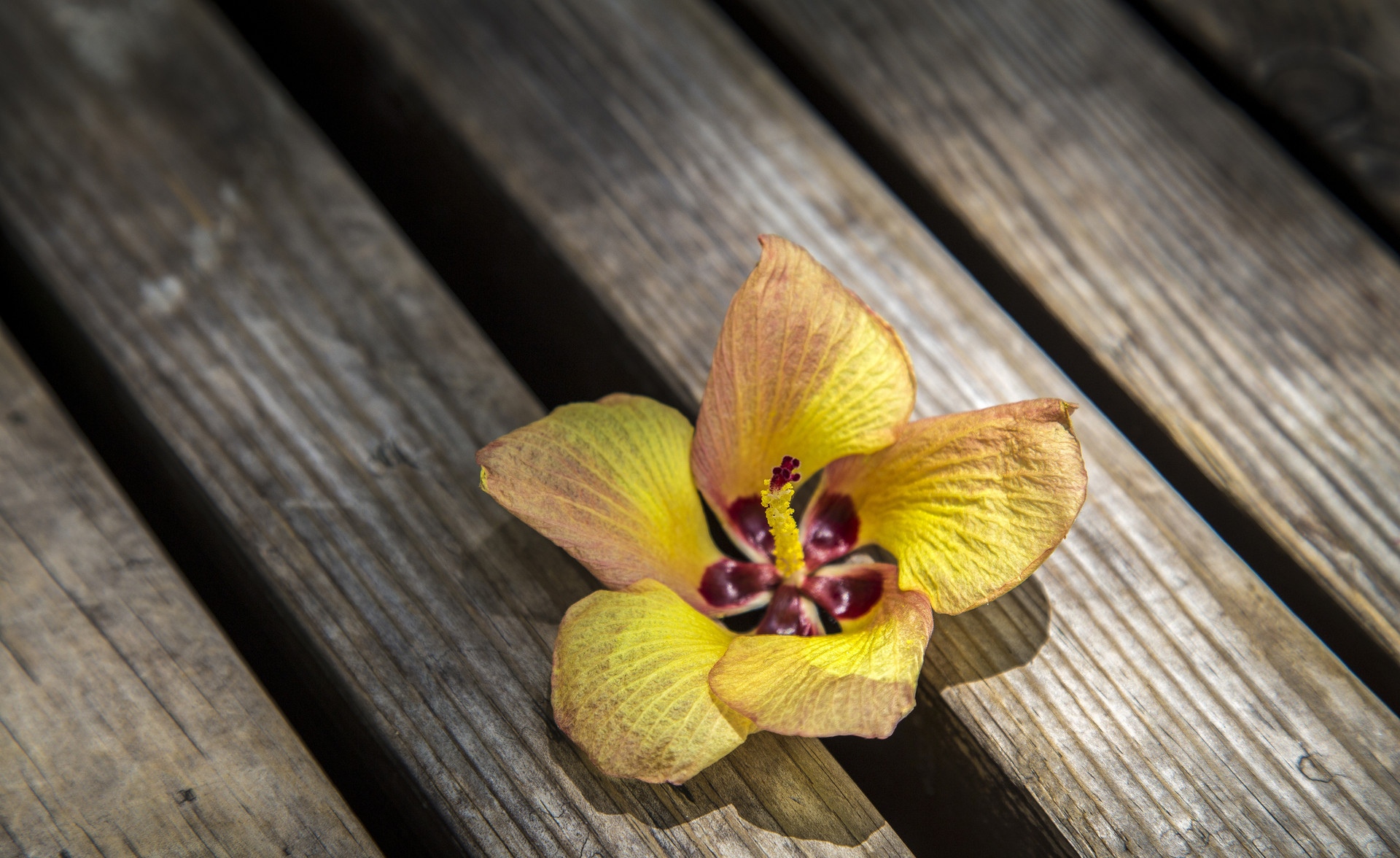 分手后快速走出失恋期的48个方法,分手后该如何快速走出失恋呢