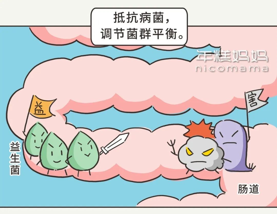 买益生菌需要问医生吗,买益生菌时注意事项