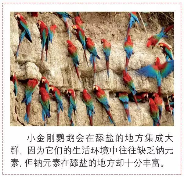 值得孩子看的4本经典绘本,3-6岁必看十本绘本清单