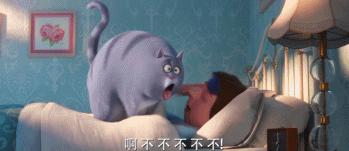 新年第一天给大家看点,新年第一天给大家看视频