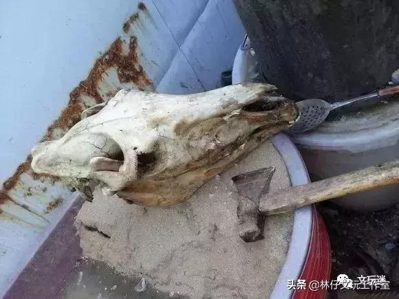 鹿骨手串制作过程,马骨手串做法