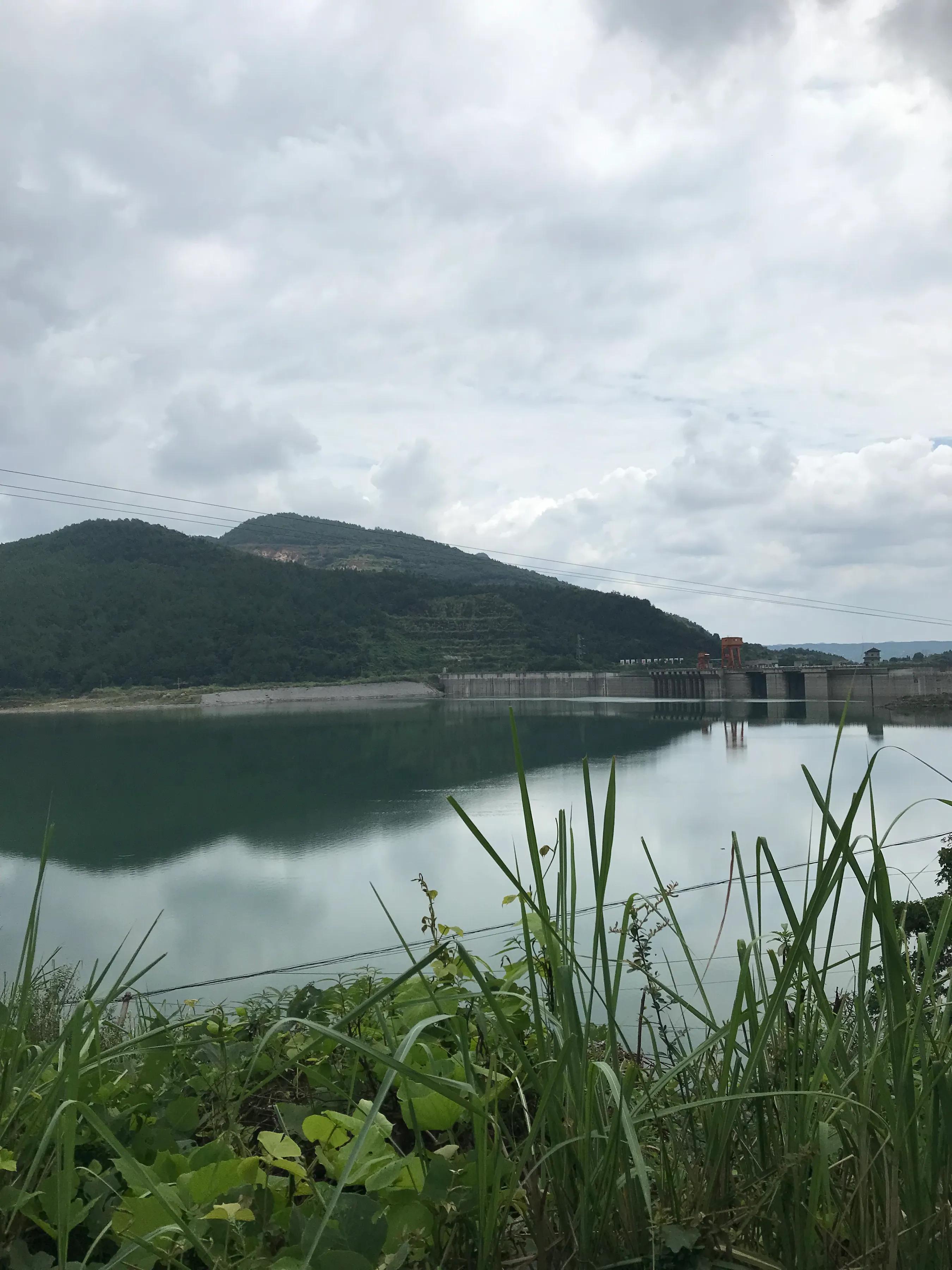 山远近路横斜读音,山远近路横斜青旗沽酒有人家意思