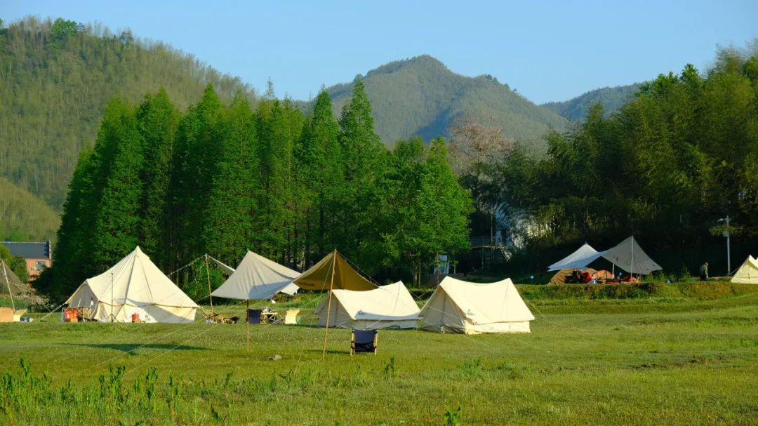 人类森林露营,人类高质量游览