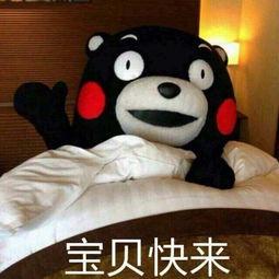 网上卖的乳胶床垫是真是假,乳胶床垫和席梦思床区别