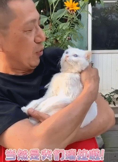 北京小公主靠吸猫血成百万大V,直播整容、大照骗、2年养死3只猫