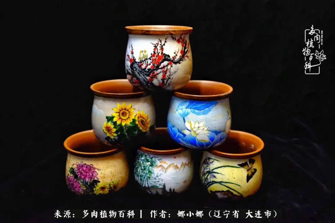 你是盆我是花，你护我周全，我为你绽放