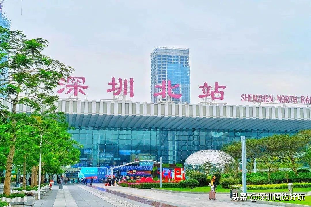 住在深圳的人,住在深圳的市民