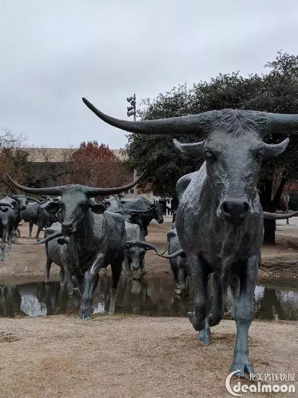 看完矮大紧老师的《扒一扒美利坚》，逛了一圈“民风彪悍”的德州