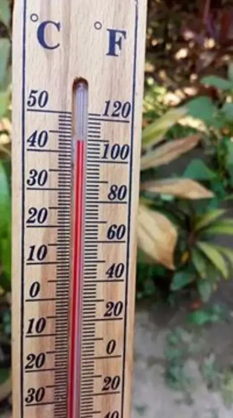 缅甸最高温突破47.2°C，仰光大金塔鱼池的鱼都被热死了