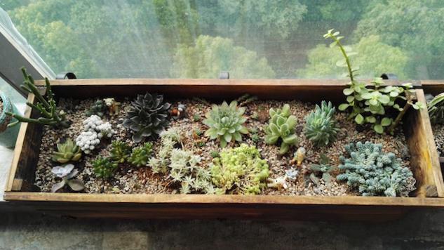 花50万让家增值500万，这80后的北欧风装修把宜家秒成渣了