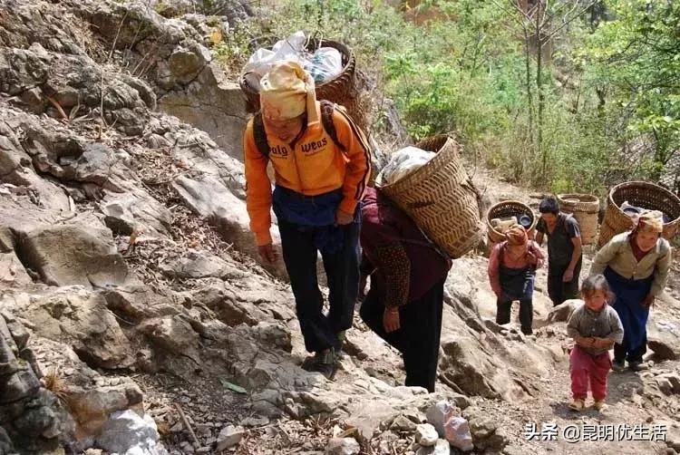 @昆明人，戴眼镜的孩子真的太太太太太惨了