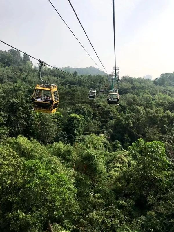 带娃广州长隆2天1夜旅游攻略,带娃自由行长隆旅游攻略