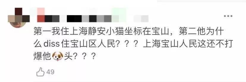 以为单身就可以自由,开始以为养猫是为了不孤单