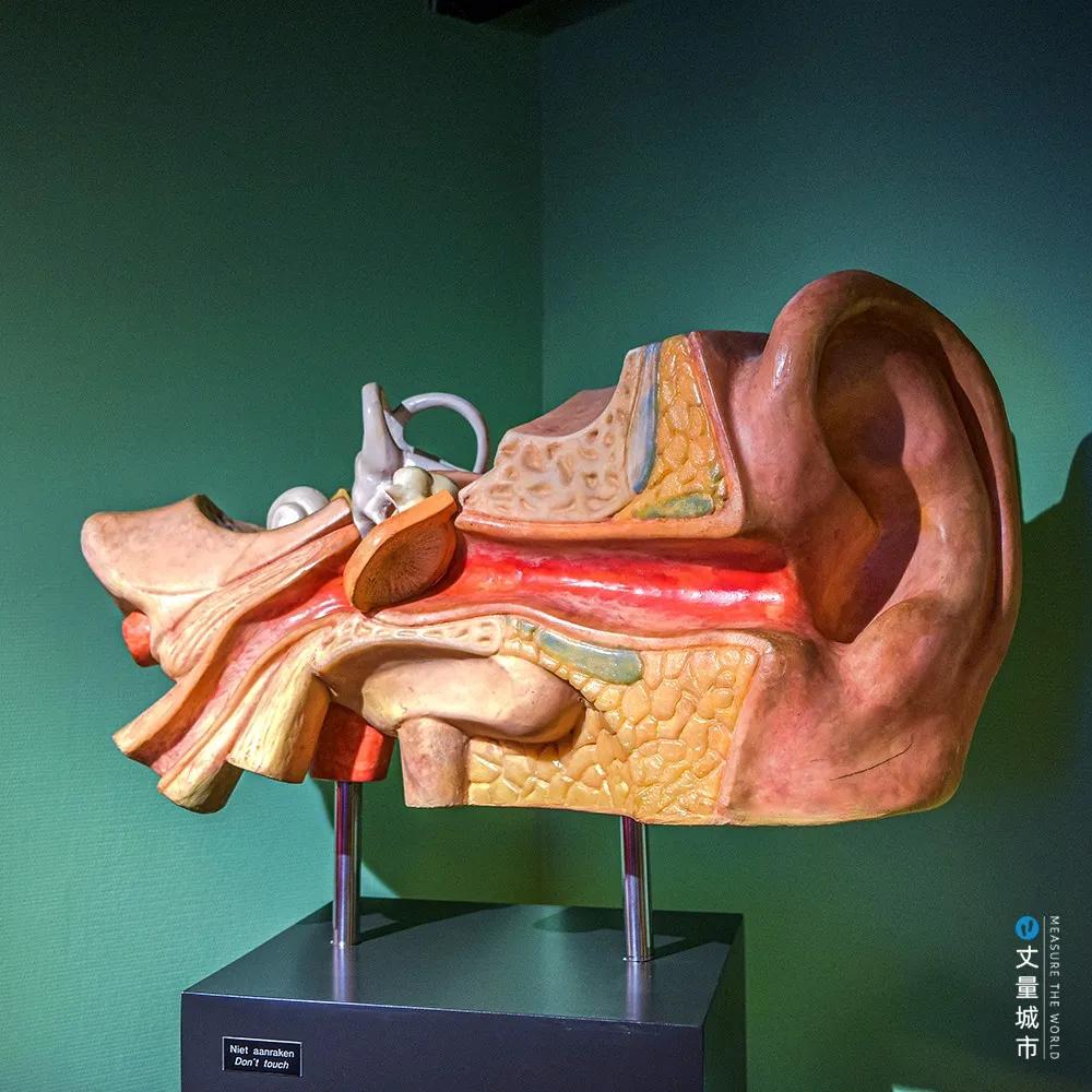 「科普」也疯狂——三个超酷的儿童活动场馆