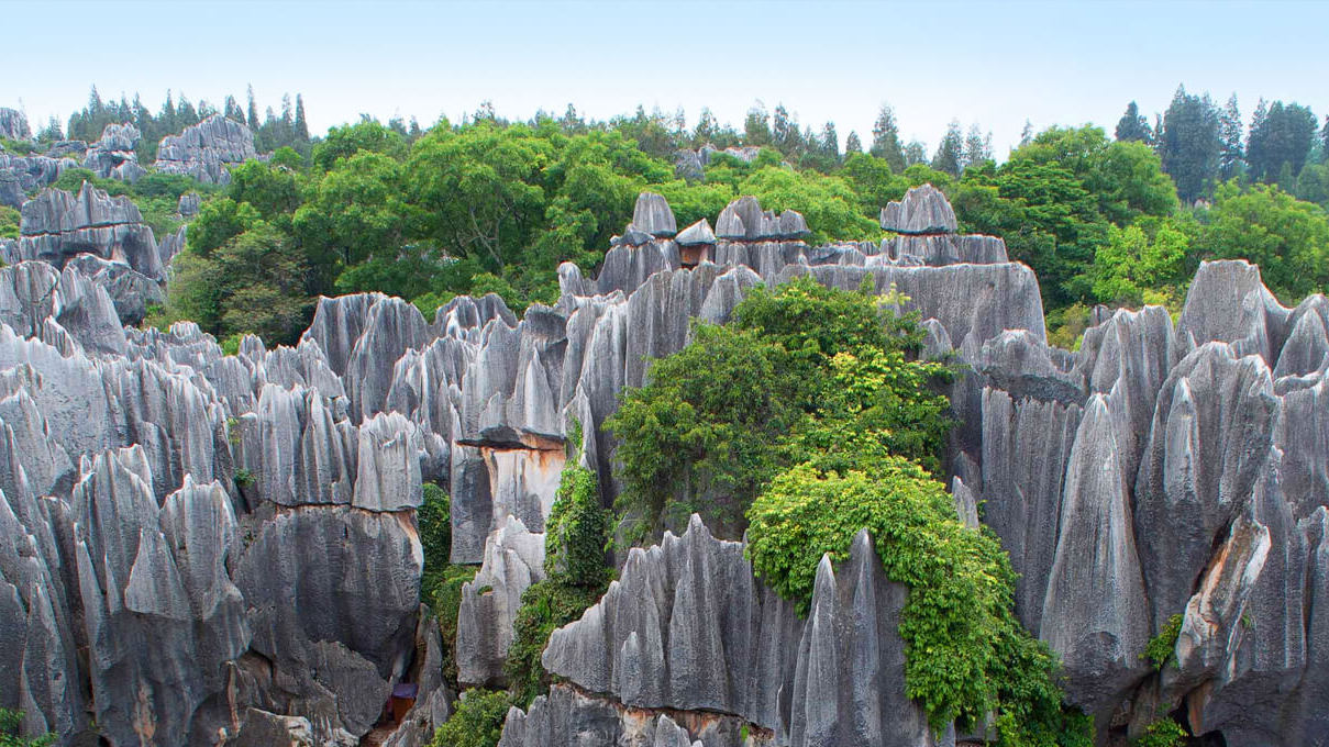 四川旅游踩坑的地方,贵州旅游踩坑