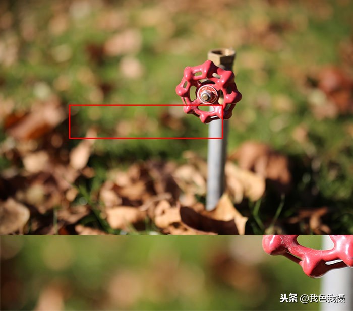 永诺35mmf1.4测评,七工匠35mmf1.4和永诺35mmf1.4哪个好