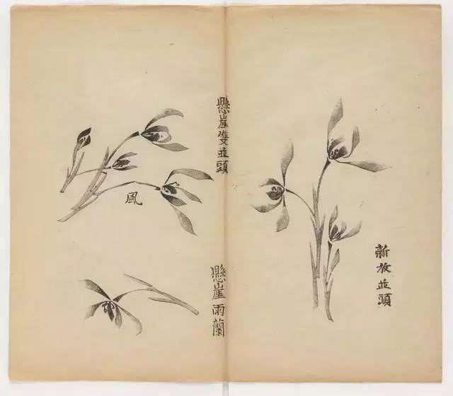 毛笔怎么画兰草,怎么画兰花和书法