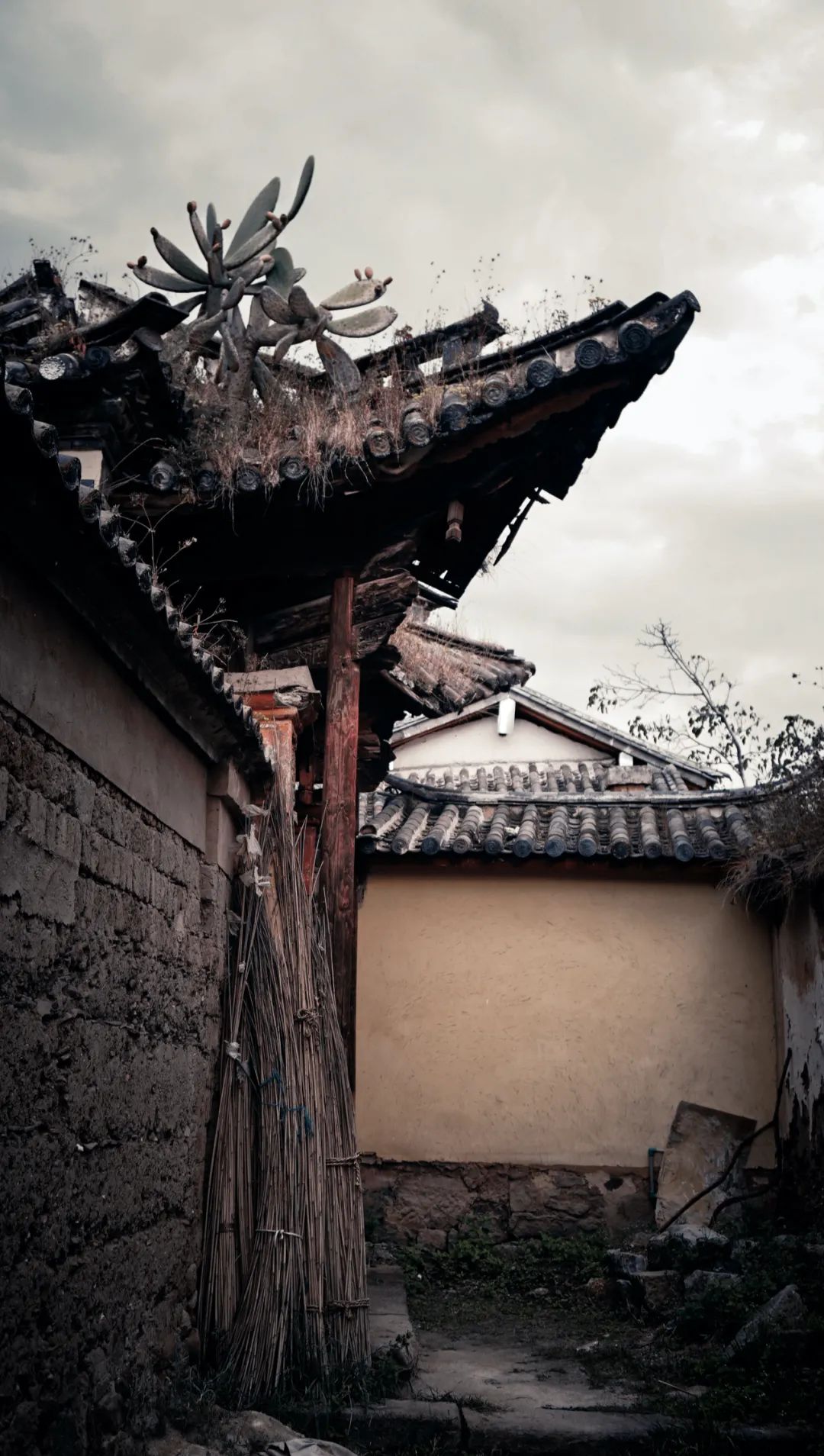 云南滇行记,云南剑川旅游攻略