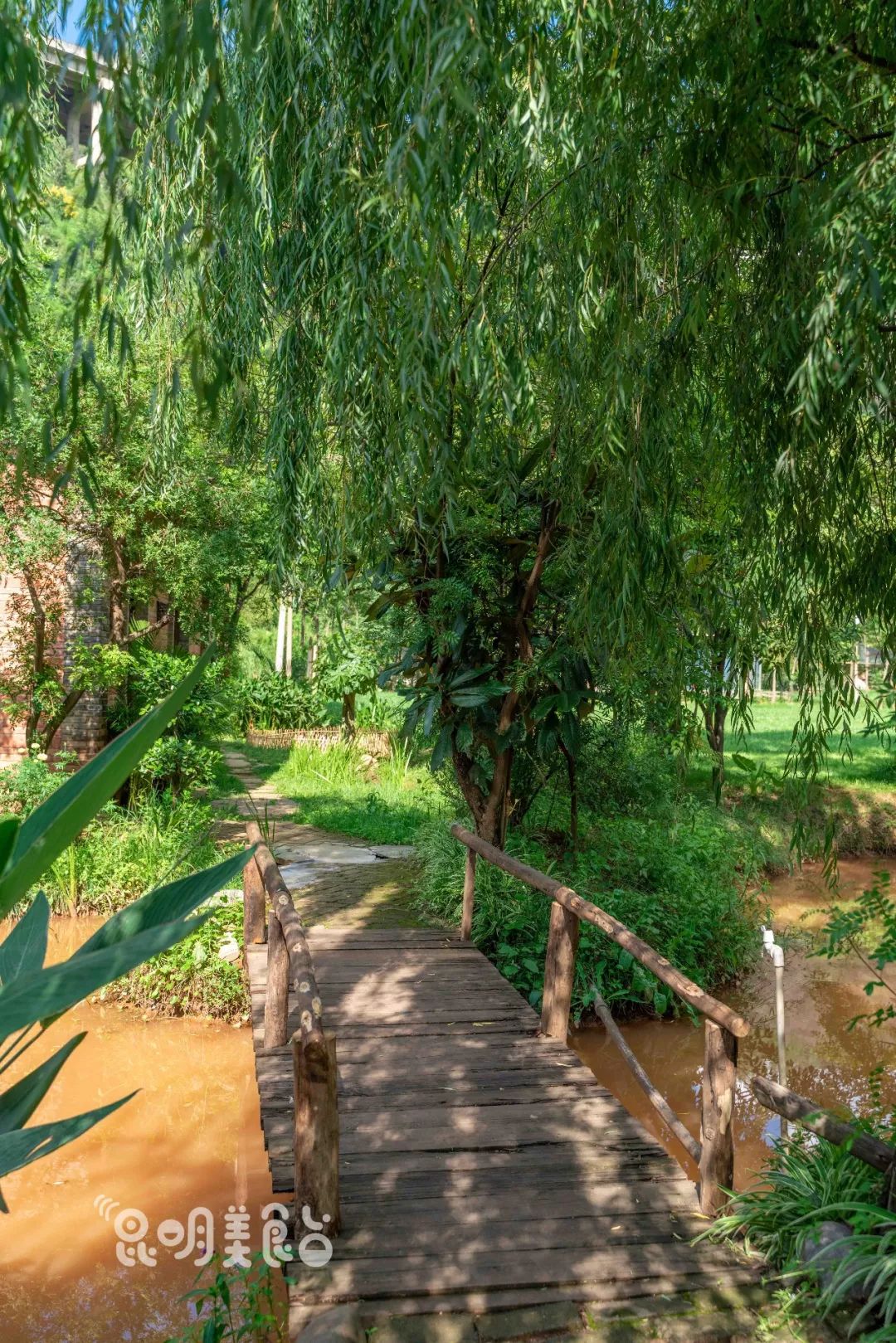 昆明高原明珠牛头宴,昆明附近哪里有世外桃源