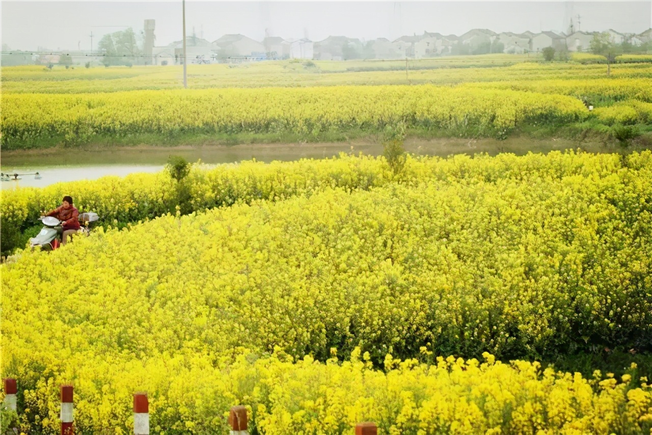 南浔是一个怎样的城市,南浔镇为何感觉比较小