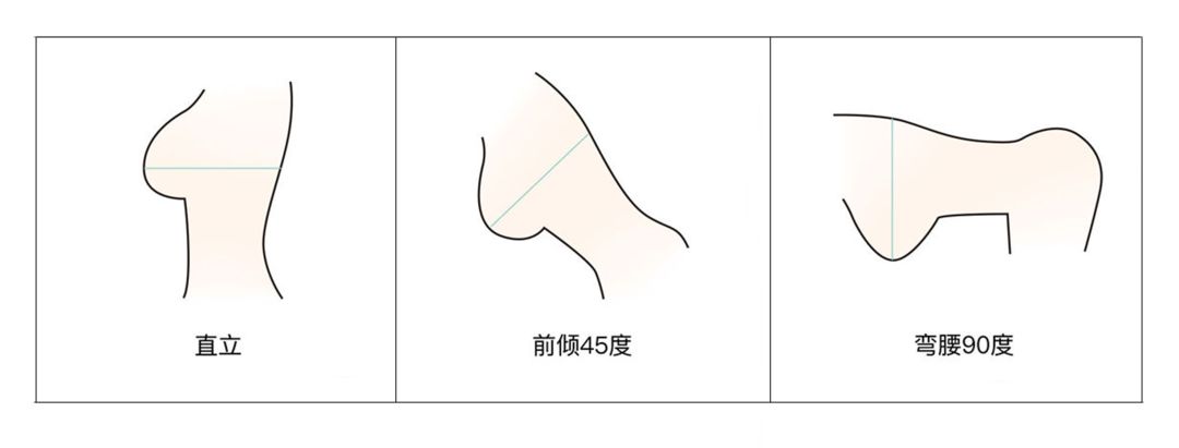 这么多年，我一直假装很会挑文胸……