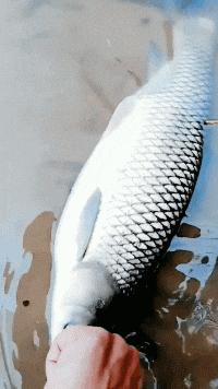 把中间的门店租下来取什么名字好,租下门面不知道取什么名字