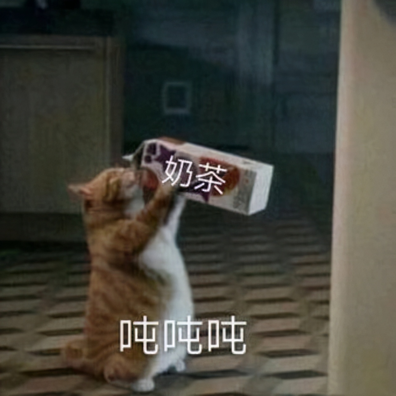 “羊来茶往”!湖北向蒙古国的回礼居然是茶?