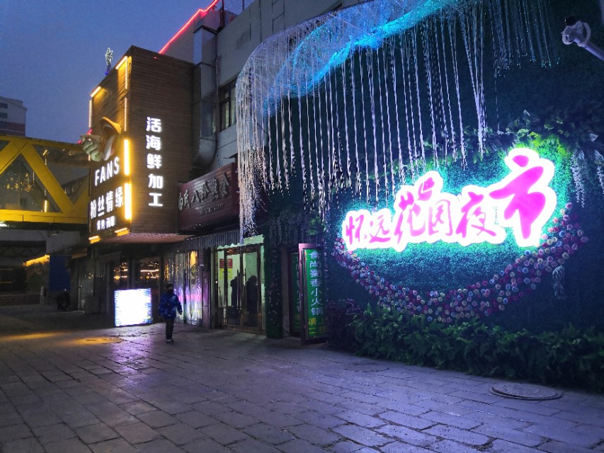 西夏的演变,西夏区发展现状