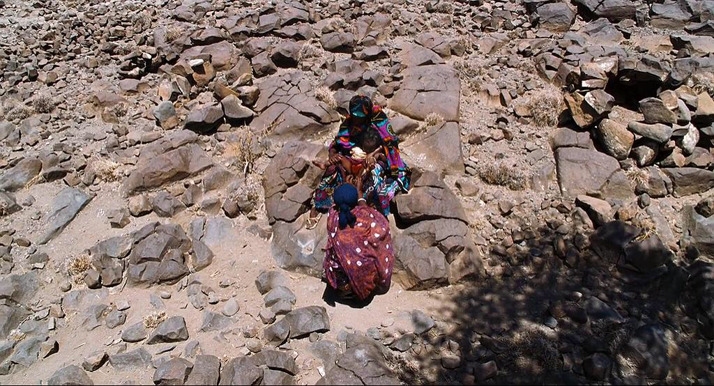 非洲女*斗权**士——沙漠之花：华莉丝·迪里