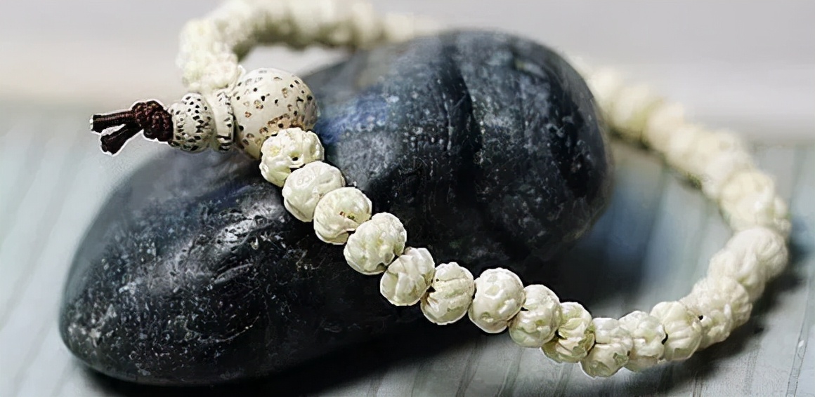 冷门菩提图片大全,比较少见的菩提