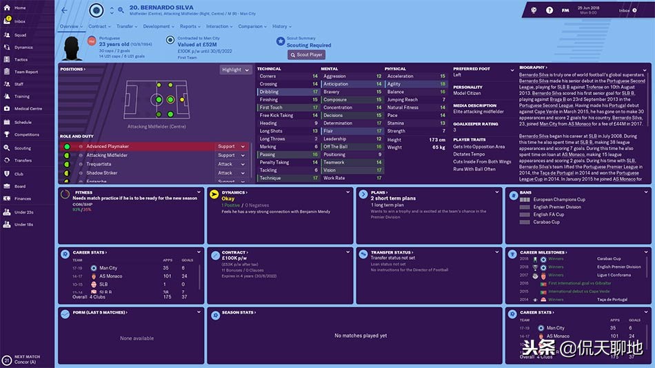 fm2019足球潜力球员,fm足球经理19妖人