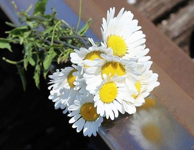 对方把微信拉黑和删除有什么区别,微信被删除和拉黑朋友圈显示什么