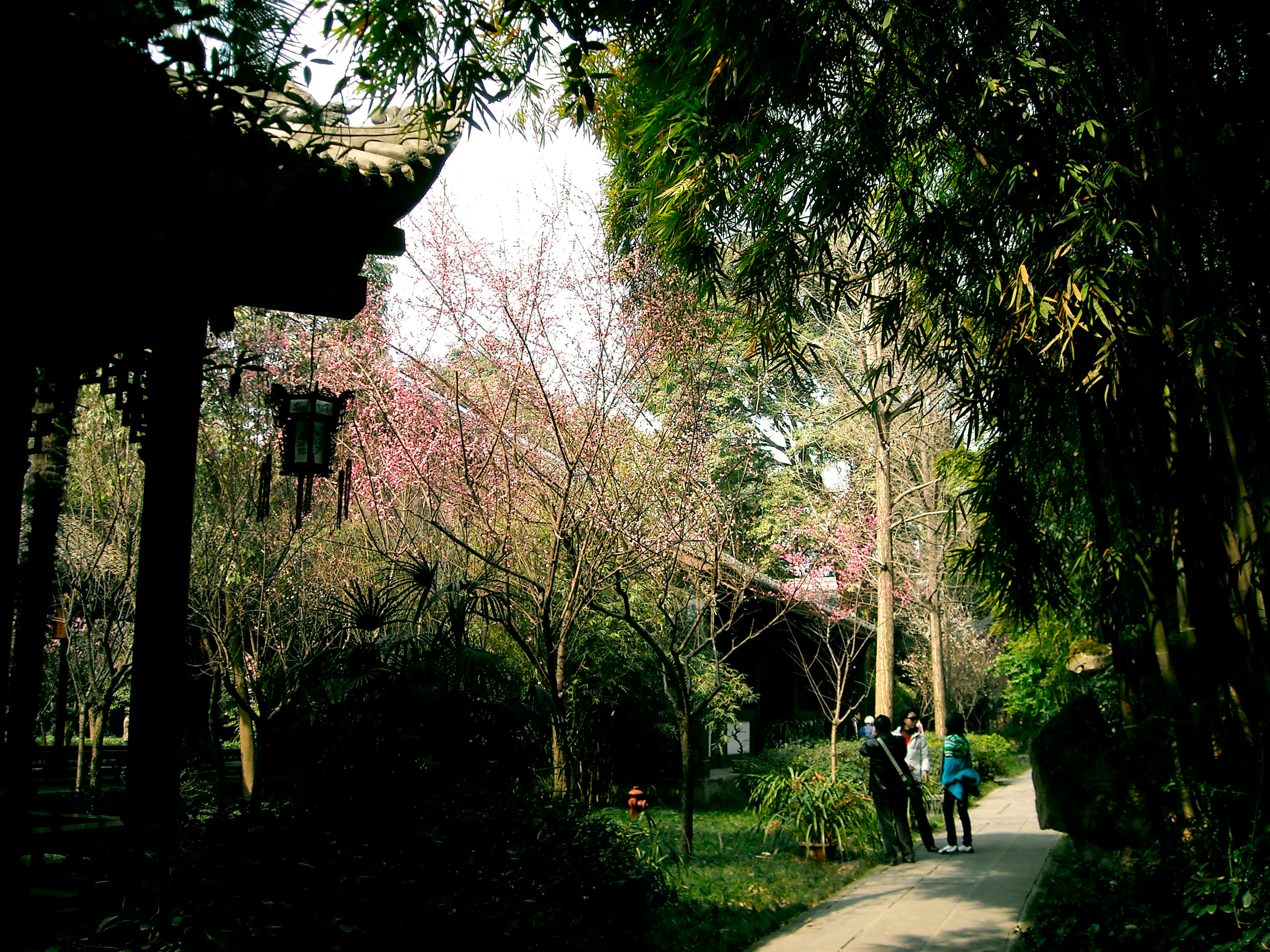 成都杜甫草堂一日游,到成都必须玩的景点是哪几个