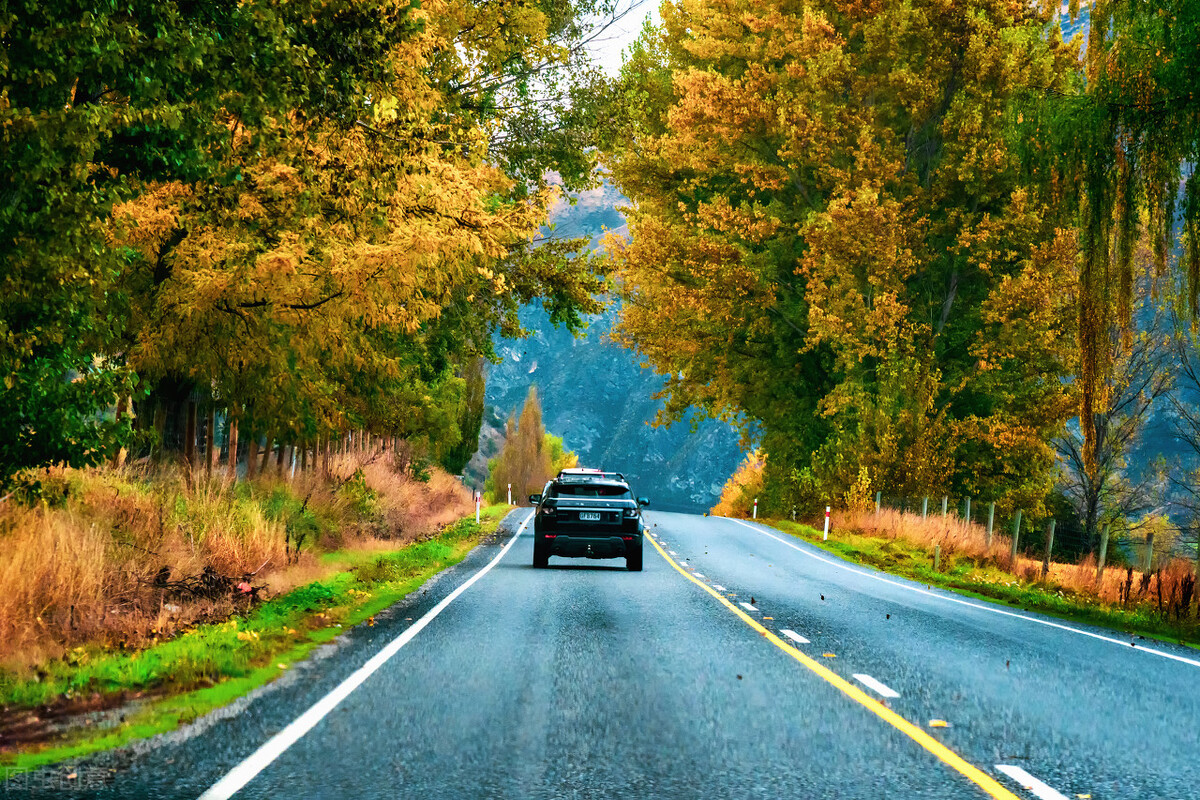 说走就走云南游记 (云南游记第三篇)