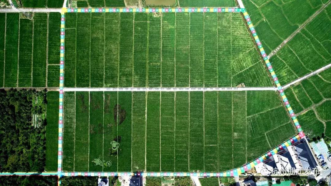 钱塘江画卷,钱塘江画作