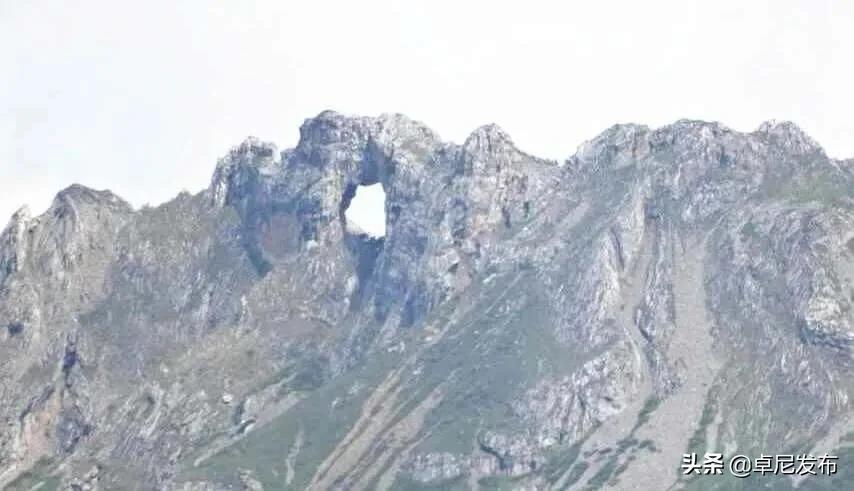 甯呮皵闃垮崜,鏃╂湡闃垮崜