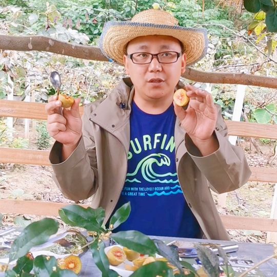 乡村振兴返乡创业政策有哪些,乡村振兴年轻人回乡创业有扶持吗