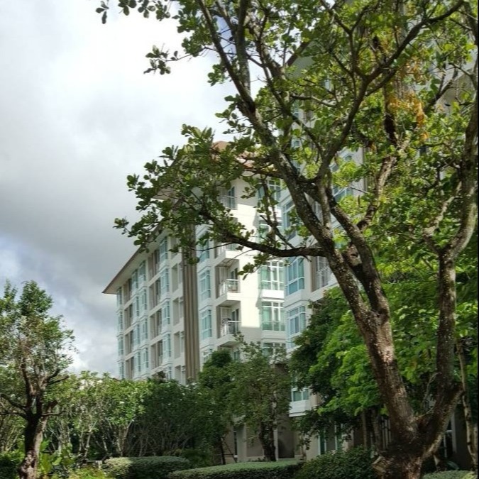 清迈性价比高的酒店推荐,在清迈的七种浪漫酒店