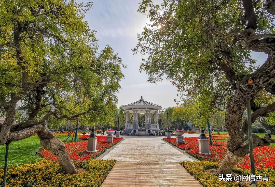 天津新开放的公园,天津水西公园现在恢复开放了吗