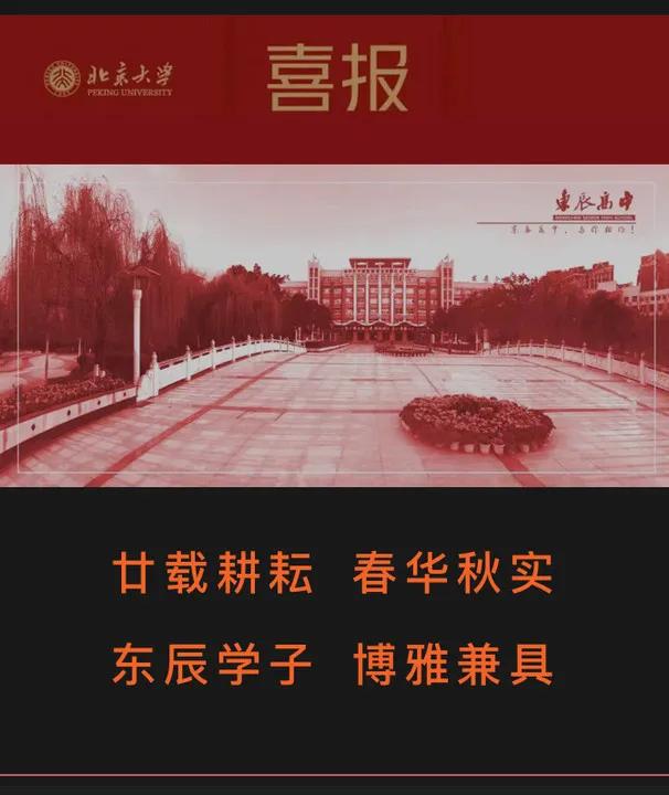 东辰比赛组别,2023年东辰比赛视频