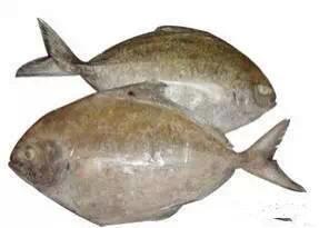 开海特价海鲜,开海的海鲜视频