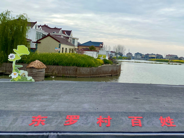 踏春赏花拍美景,踏春赏花逛湖