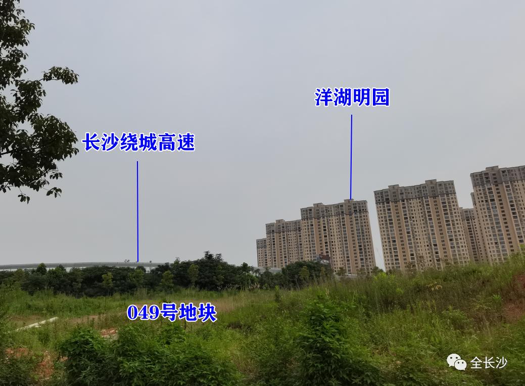 洋湖2025最新规划,洋湖发展